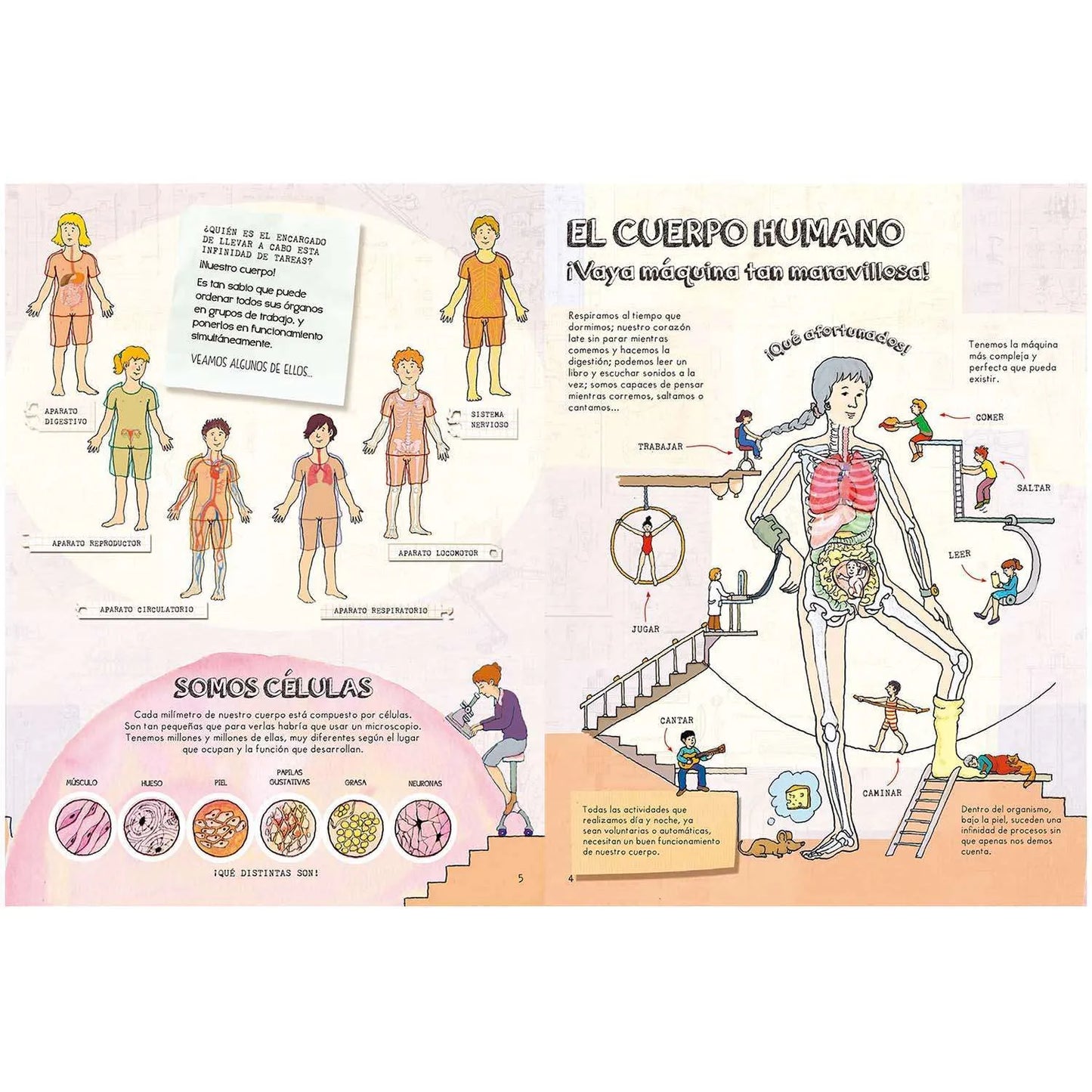 Descubre El Cuerpo Humano