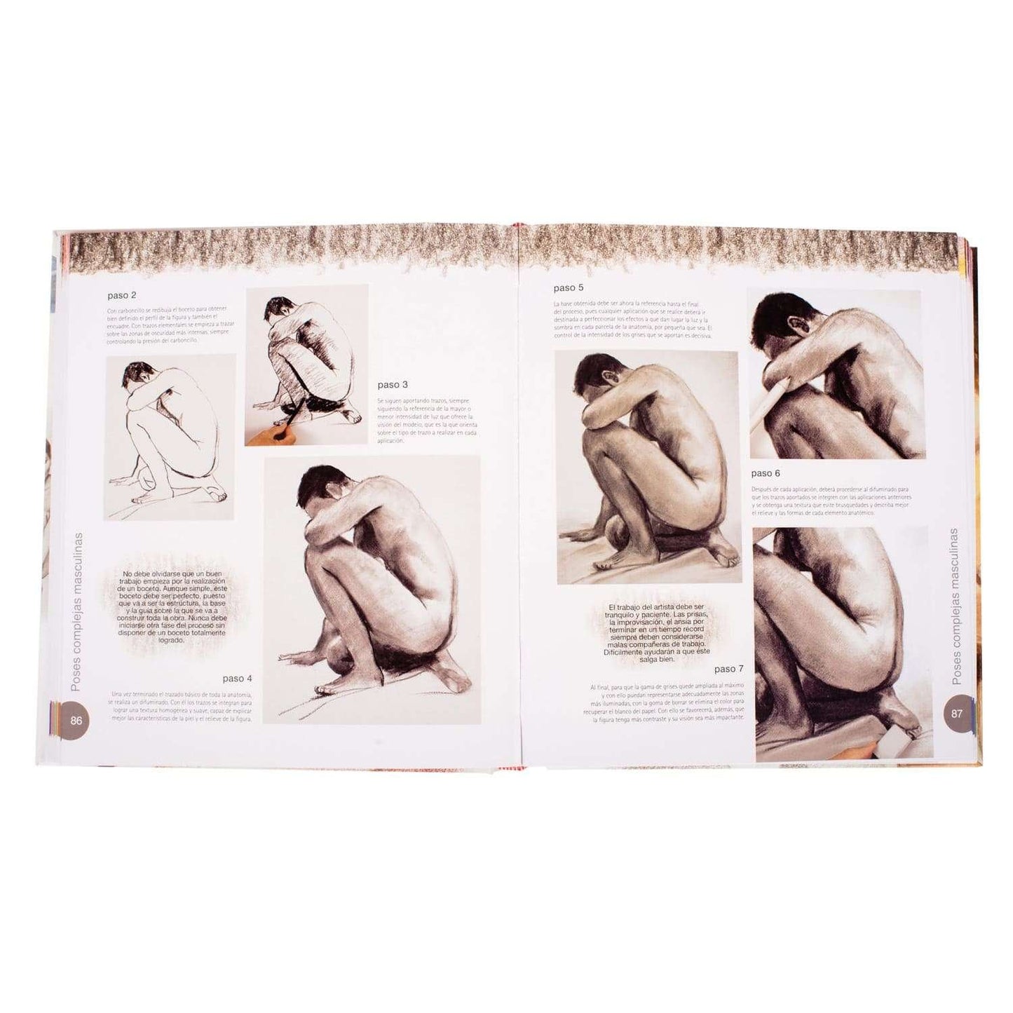 Atlas Ilustrado Dibujo Pintura El Desnudo