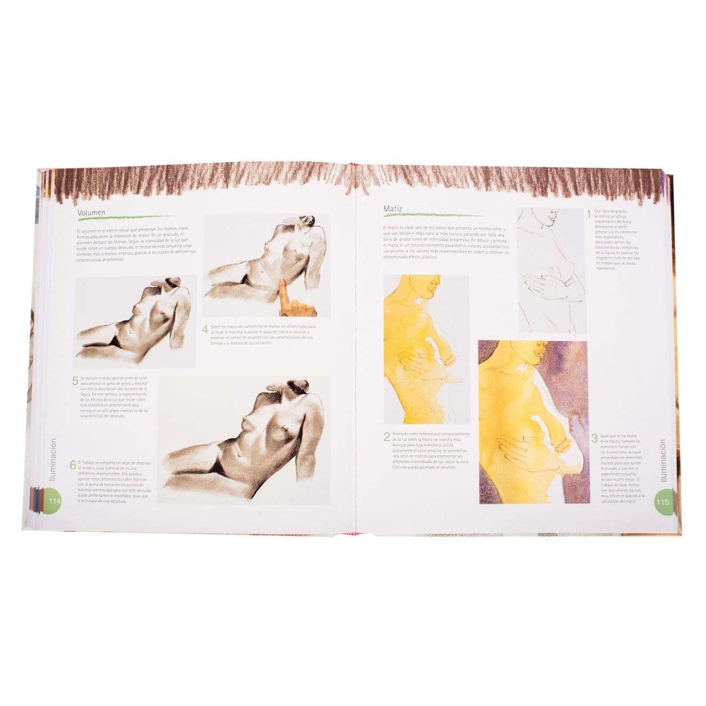 Atlas Ilustrado Dibujo Pintura El Desnudo