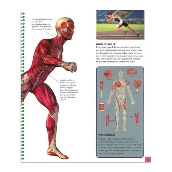 Explora El Cuerpo Humano