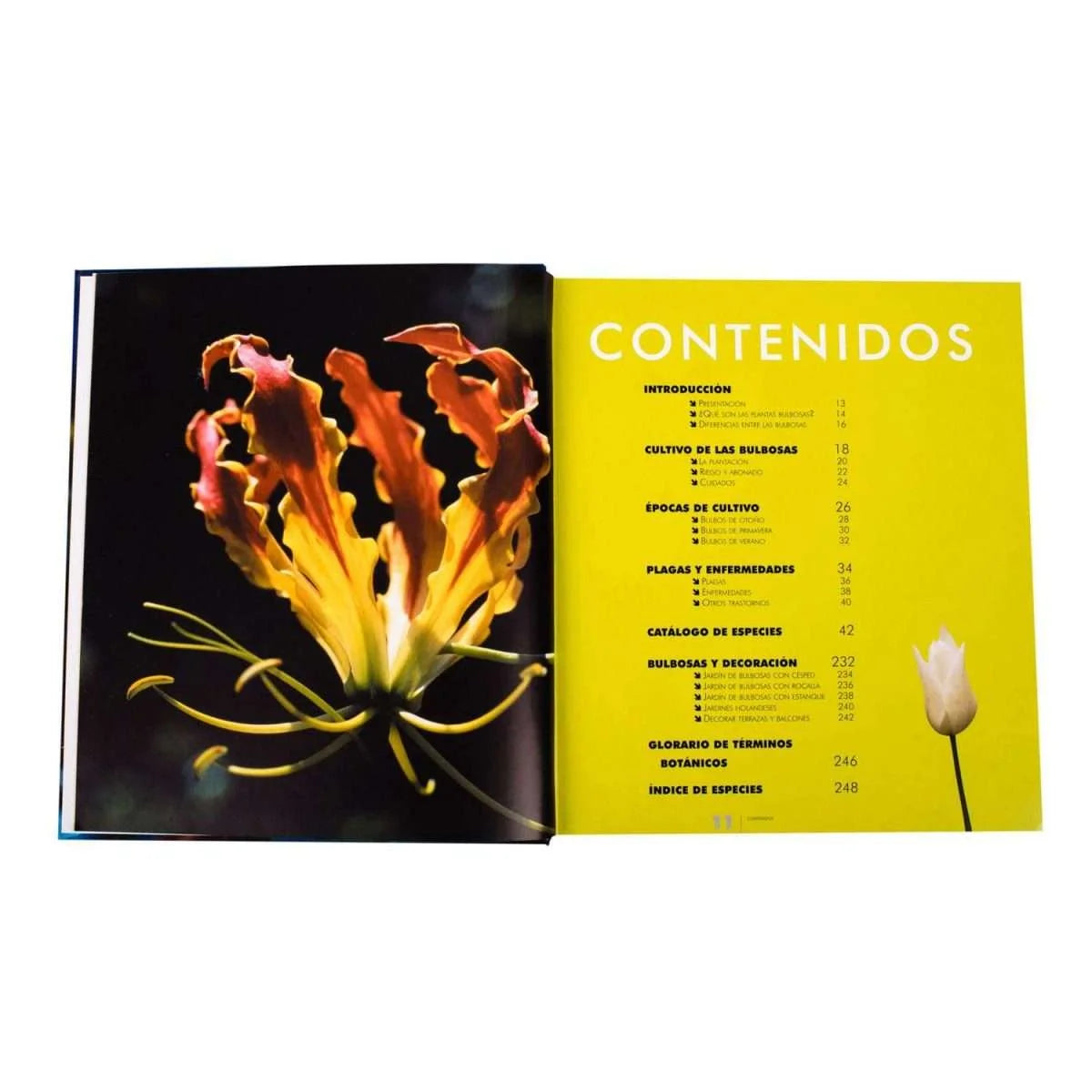 Atlas Ilustrado de las Flores de Bulbo