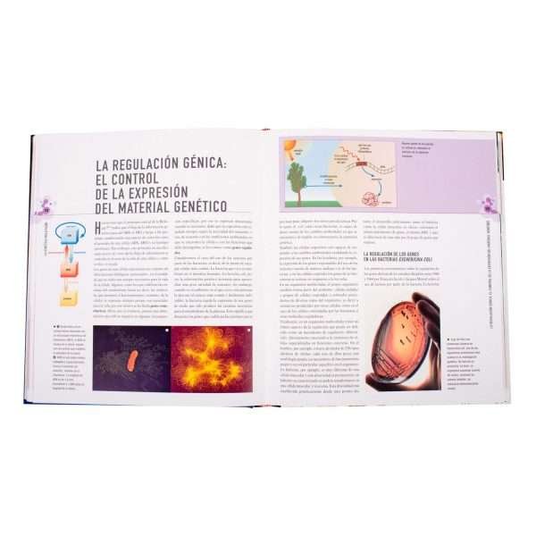 Atlas Ilustrado Genética
