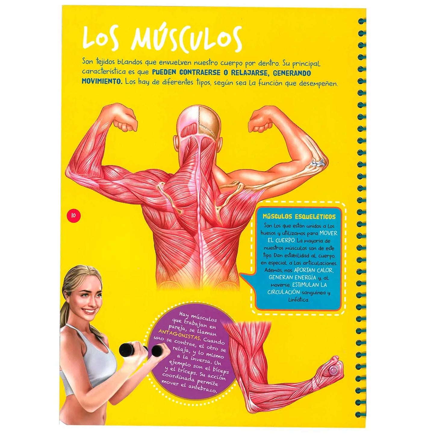 El Cuerpo Humano Transvisiones