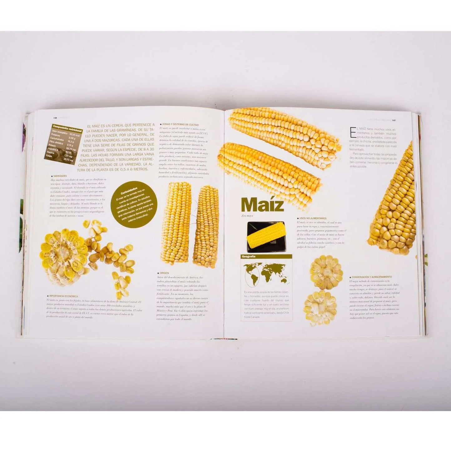 Atlas Ilustrado de las Verduras