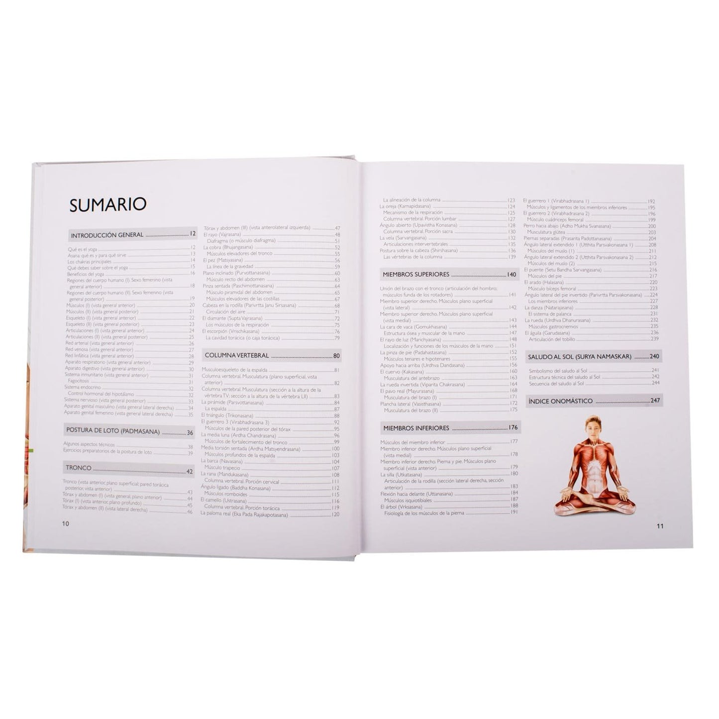 Atlas Ilustrado Yoga