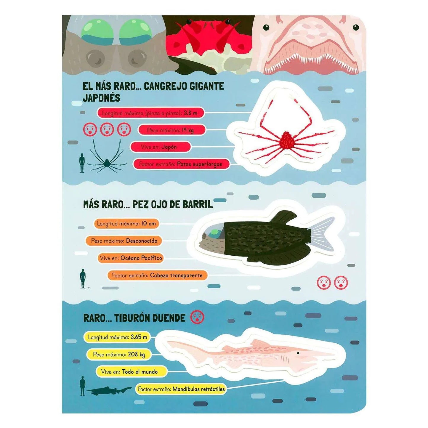Asombrosos Animales Extraños