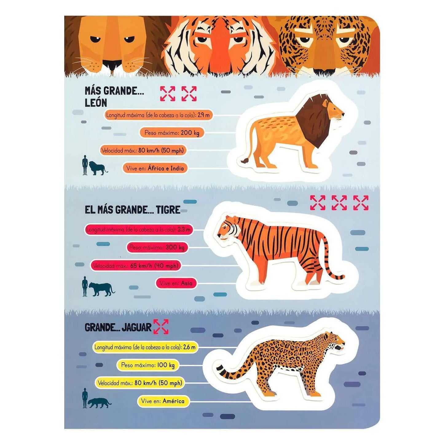 Asombrosos Mega Animales