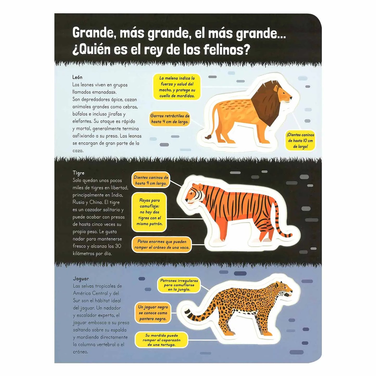 Asombrosos Mega Animales