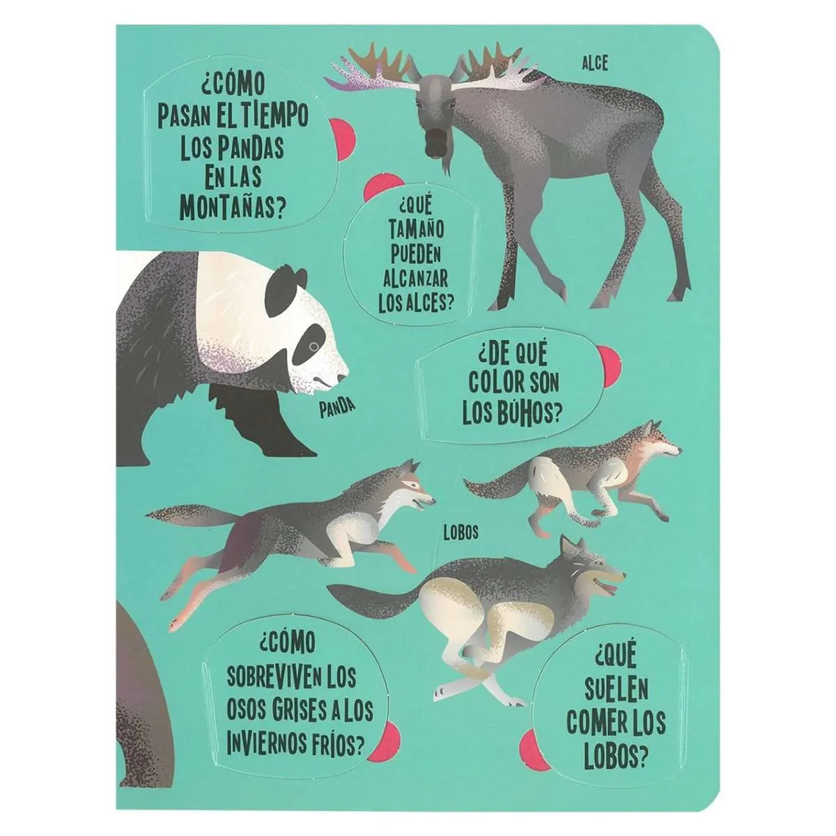 Animales Busca y Encuentra Linterna