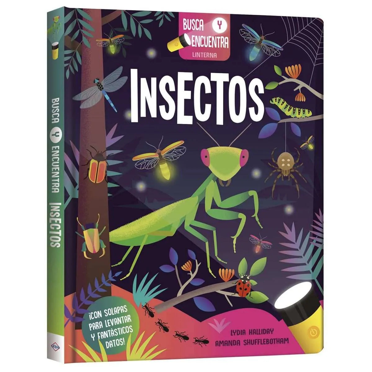 Insectos Busca y Encuentra Linterna