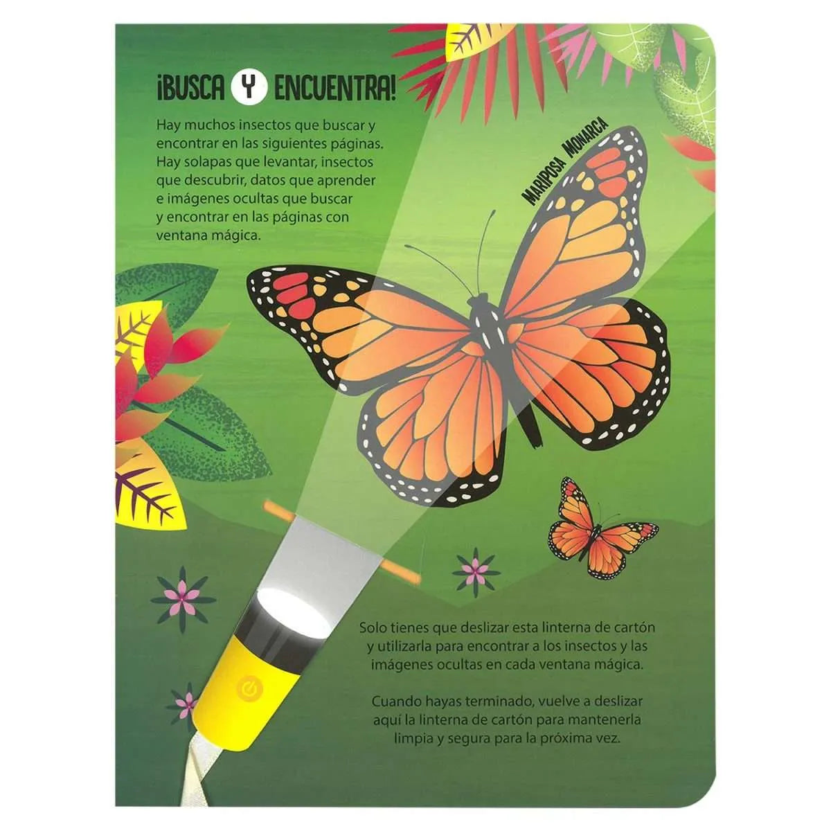 Insectos Busca y Encuentra Linterna