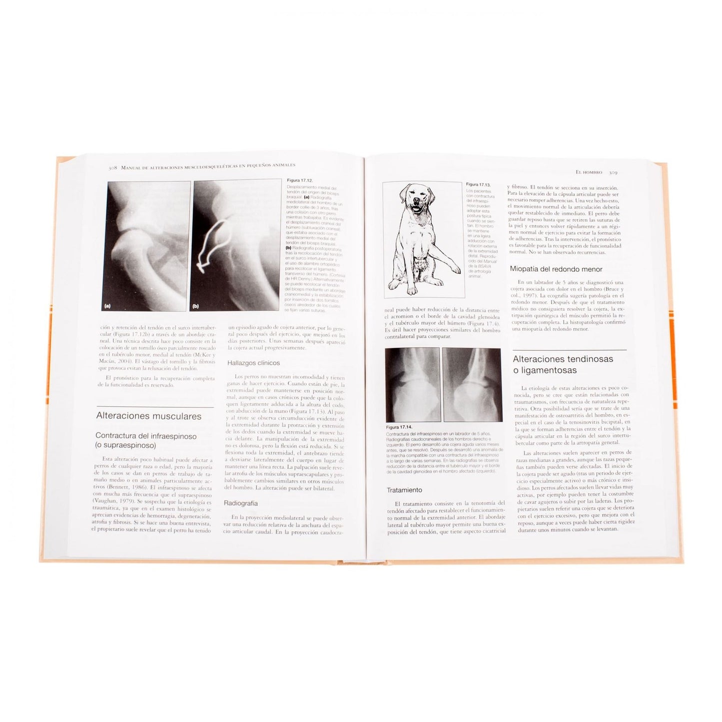 Manual De Alteraciones Musculoesqueléticas en Pequeños Animales