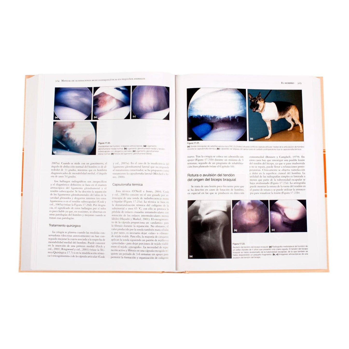Manual De Alteraciones Musculoesqueléticas en Pequeños Animales