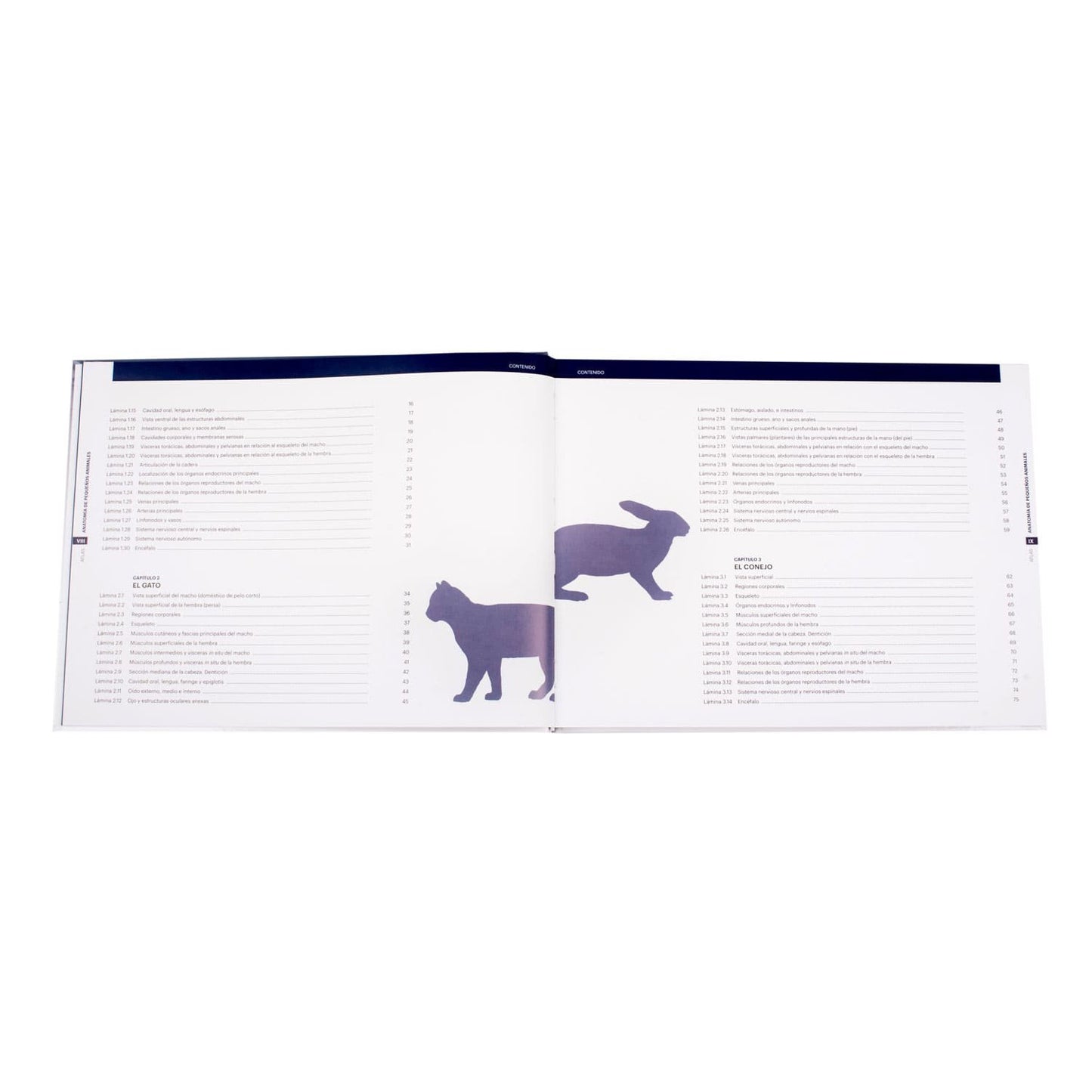 Atlas de Anatomía de Pequeños Animales