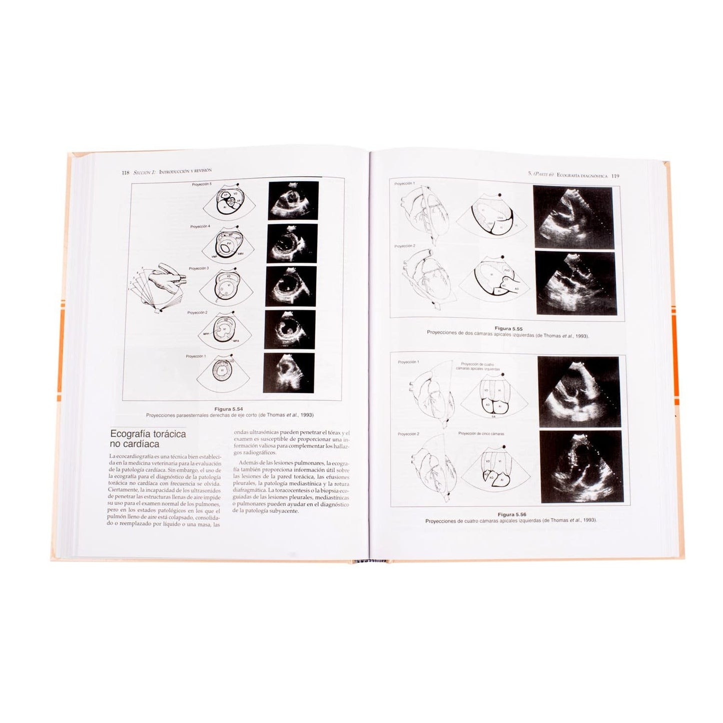 Manual de Medicina y Cirugía Cardiorrespiratorias en Pequeños Animales