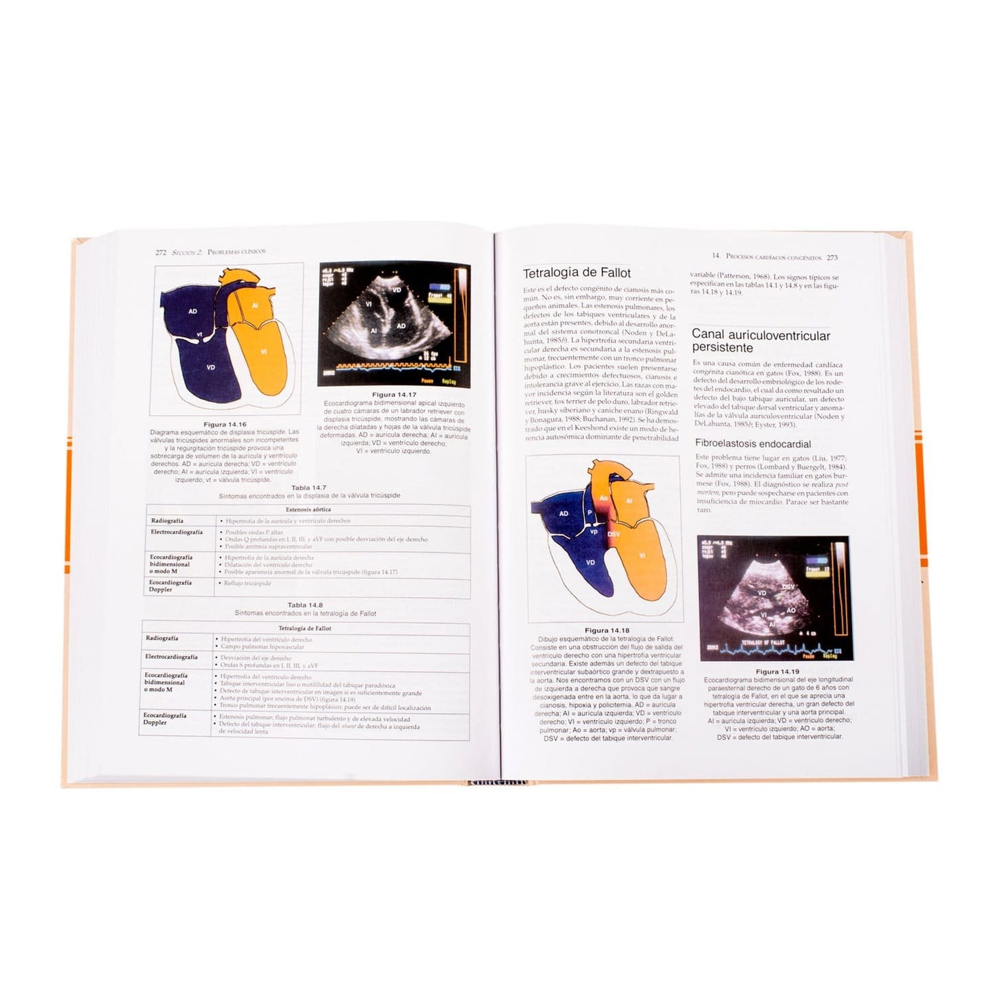 Manual de Medicina y Cirugía Cardiorrespiratorias en Pequeños Animales