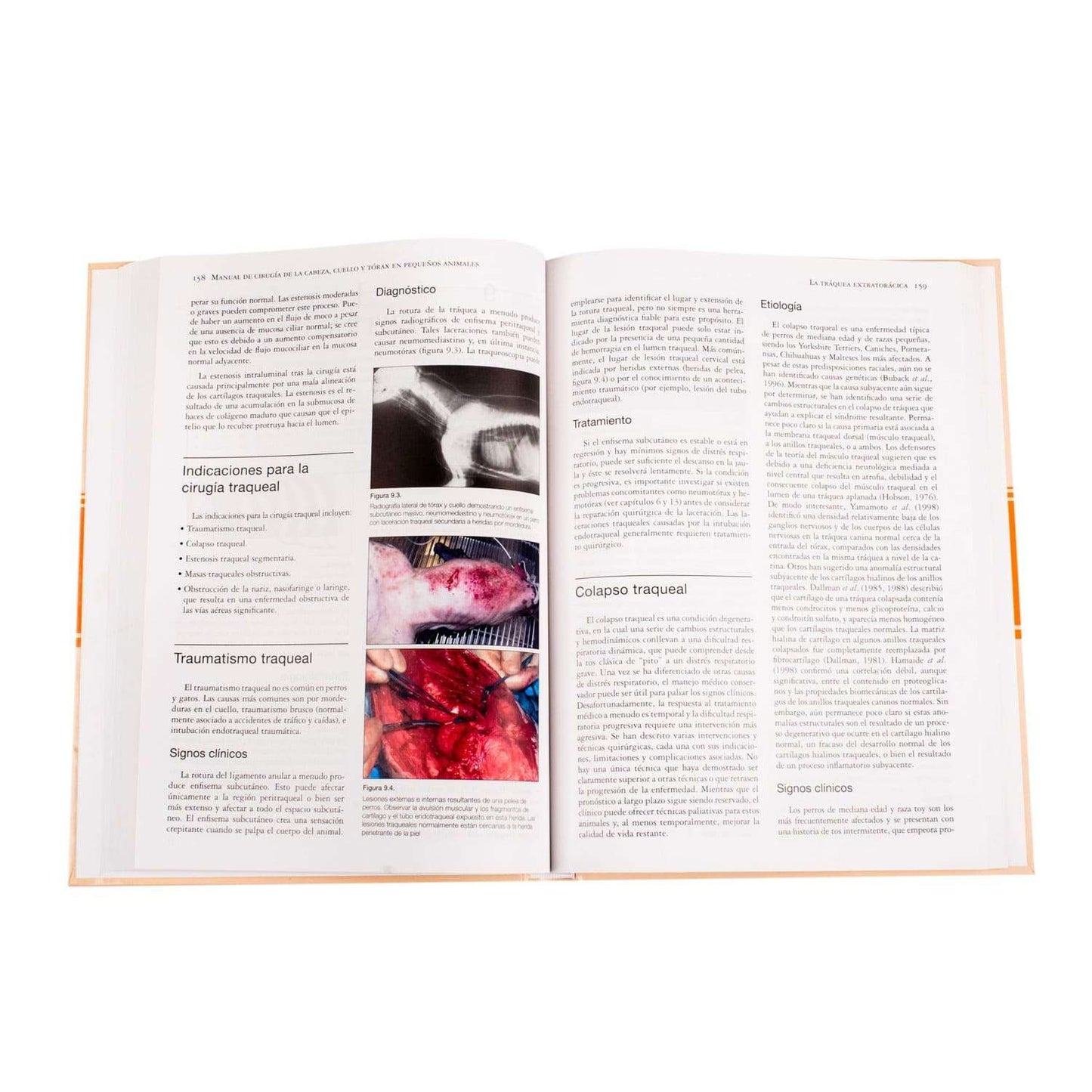 Manual de Cirugía de la Cabeza, Cuello y Tórax