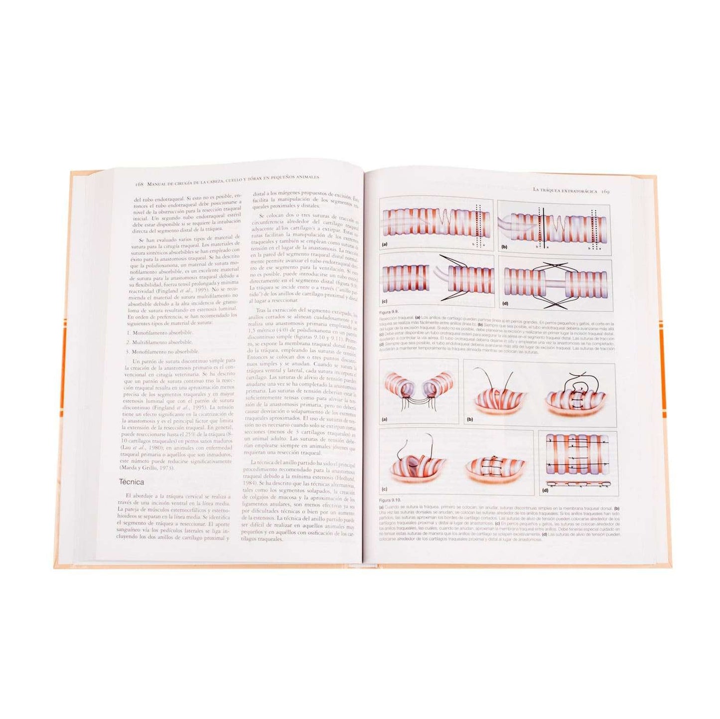 Manual de Cirugía de la Cabeza, Cuello y Tórax