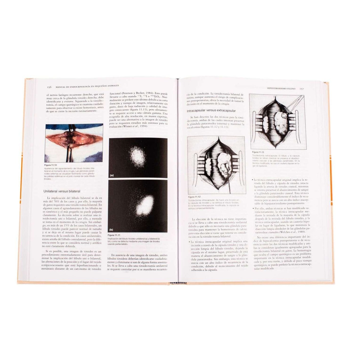 Manual de Endocrinología