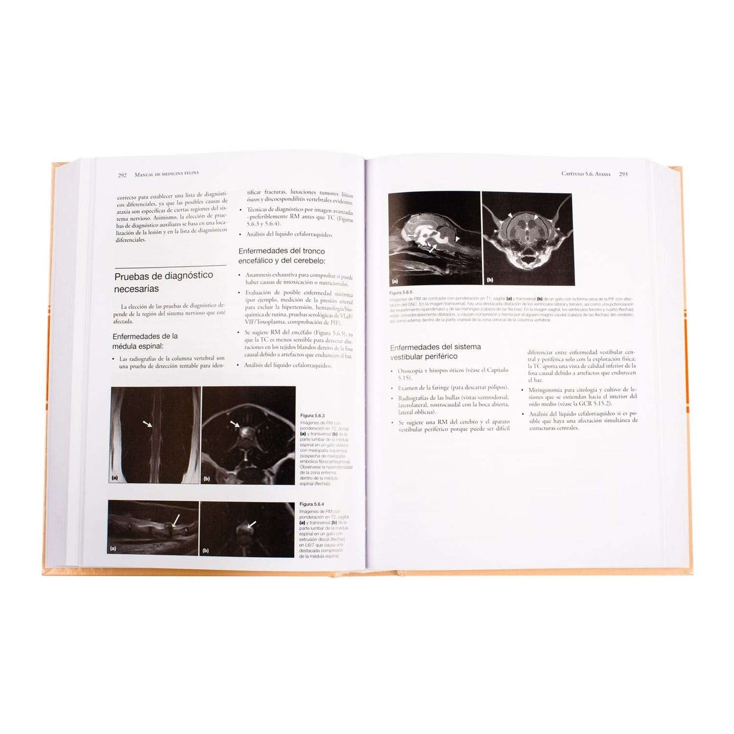 Manual de Medicina Felina