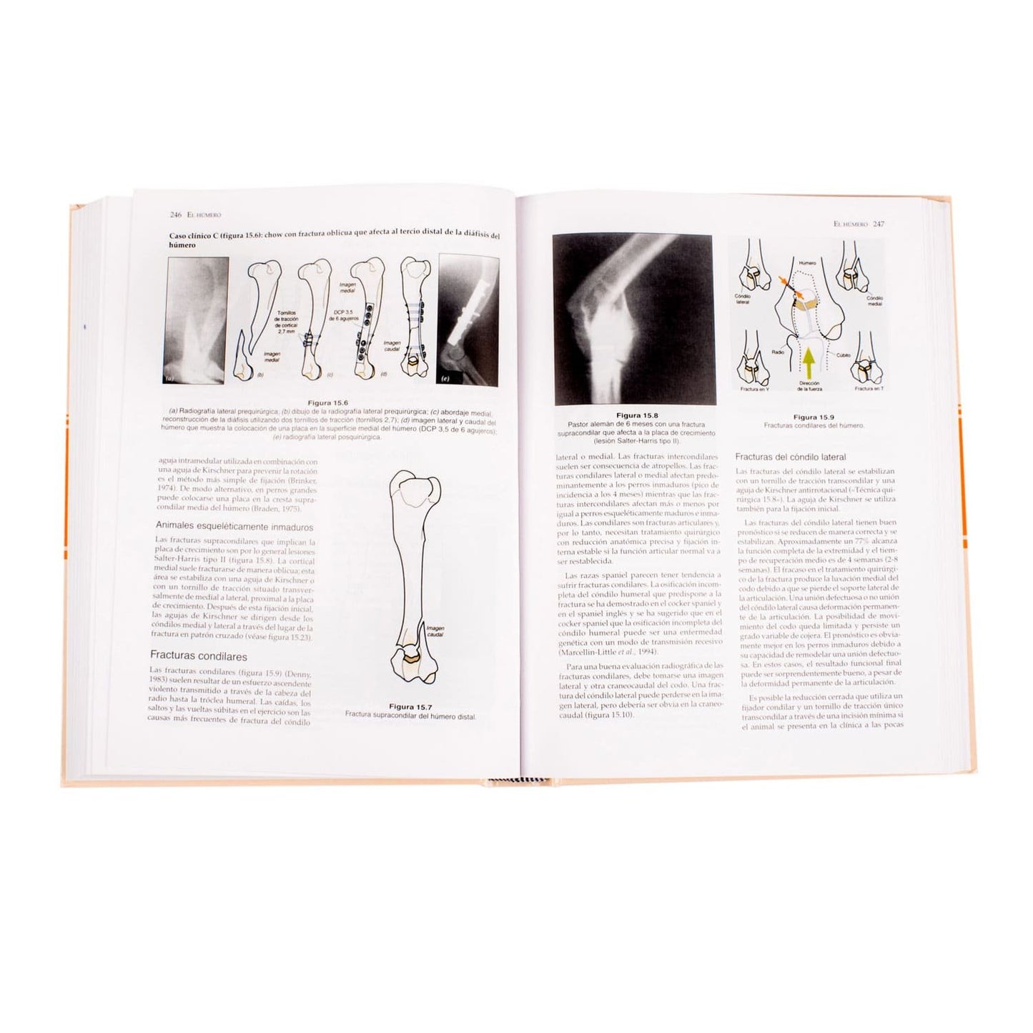Manual de Reparación y Tratamiento de Fracturas en Pequeños Animales