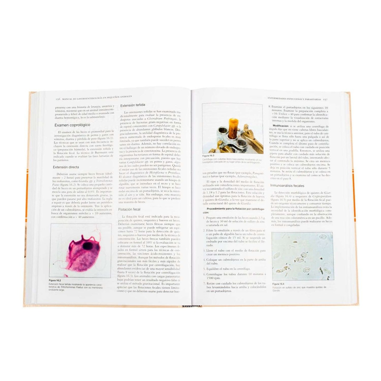 Manual de Gastroenterología en Pequeños Animales