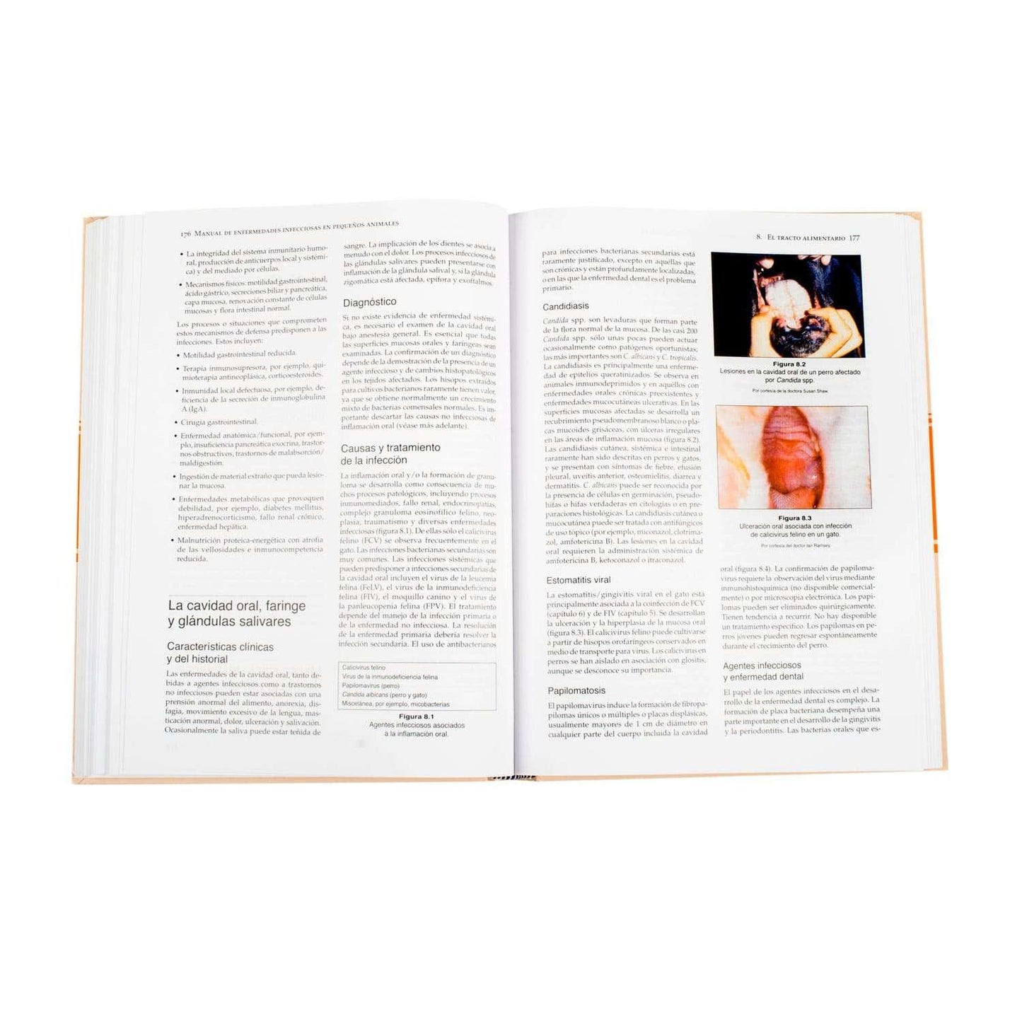 Manual de Enfermedades Infecciosas en Pequeños Animales