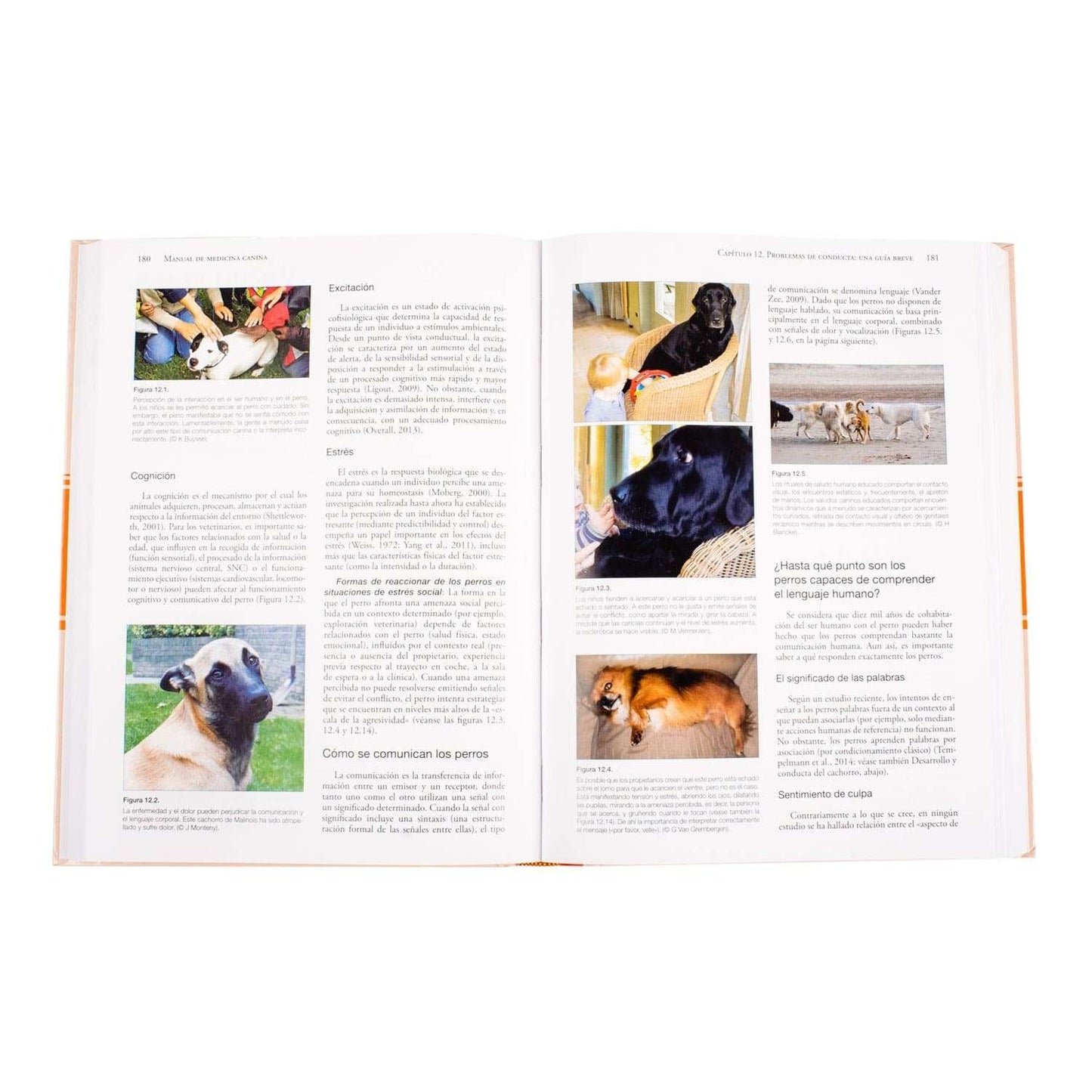Manual de Medicina Canina