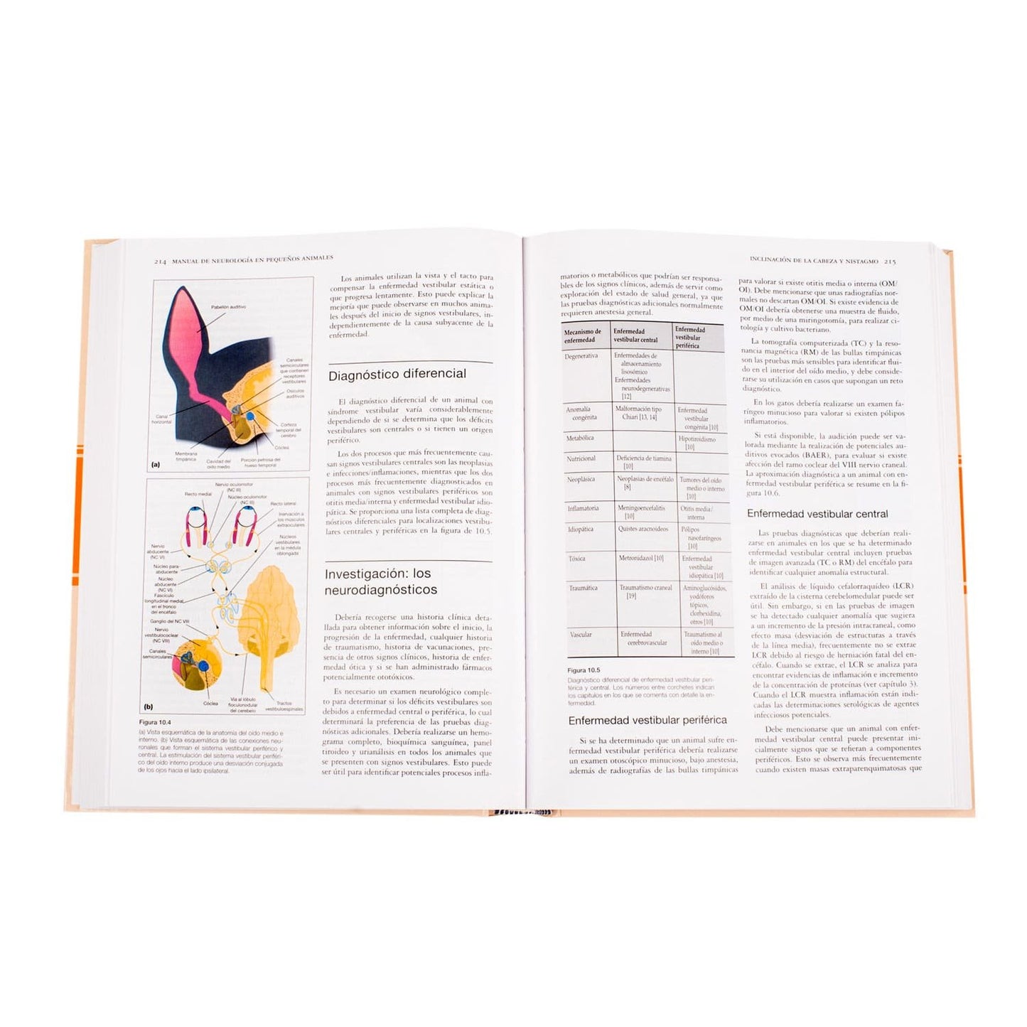 Manual de Neurología en Pequeños Animales