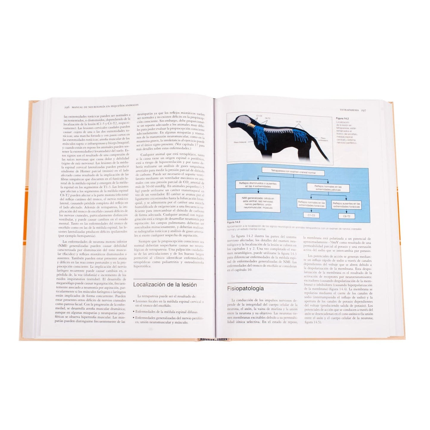 Manual de Neurología en Pequeños Animales