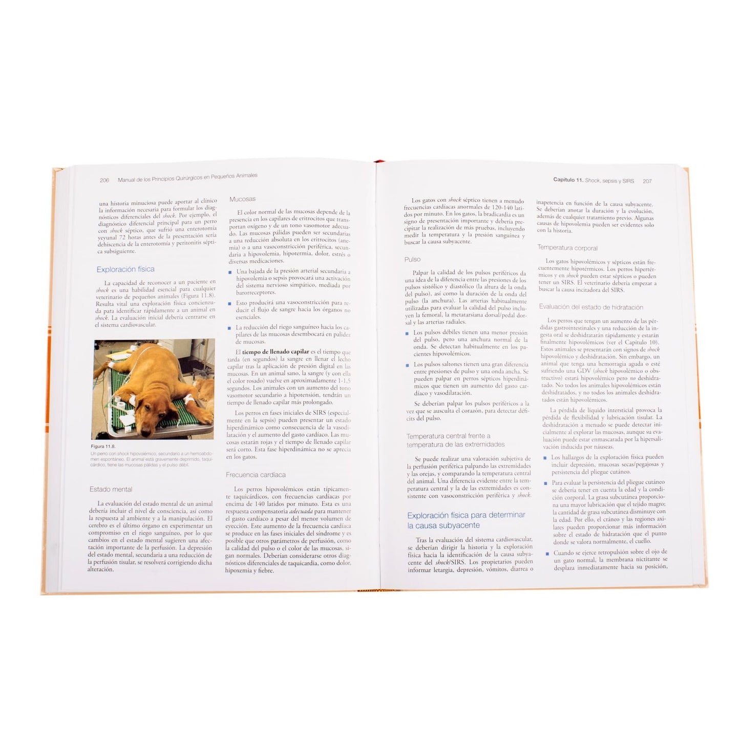 Manual de Los Principios Quirúrgicos en Pequeños Animales