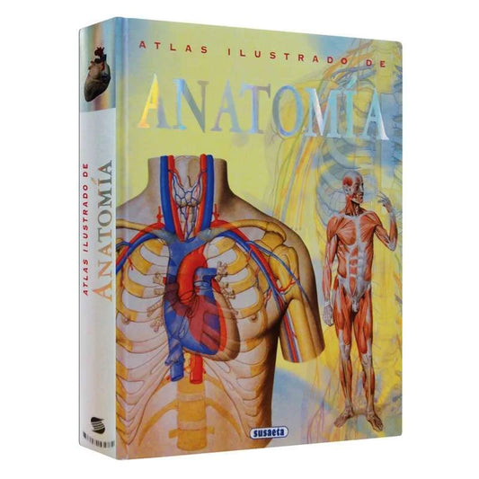 Atlas Ilustrado Anatomía