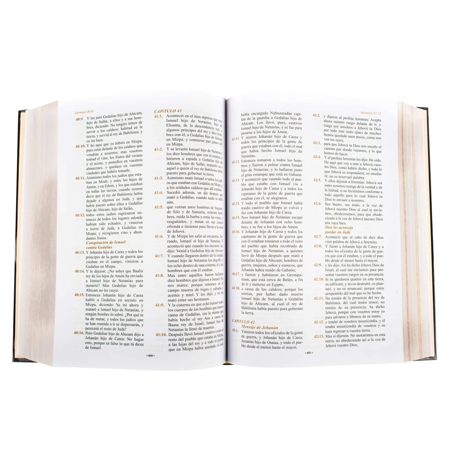 La Santa Biblia Reina Valera Letra Grande Borde Dorado Lexus