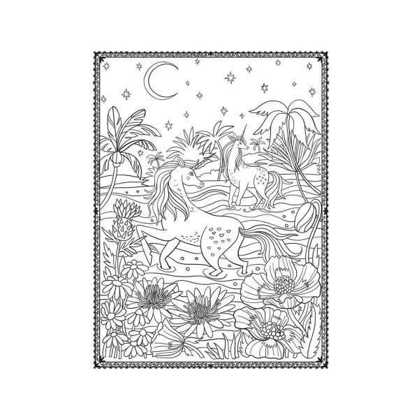 La Sociedad Magica De Los Unicornios, Libro Para Colorear