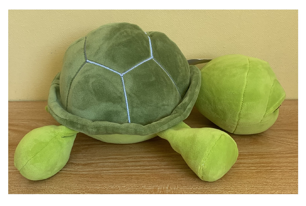 Peluche Tortuga Verde Kawaii De Felpa Suave 30cm