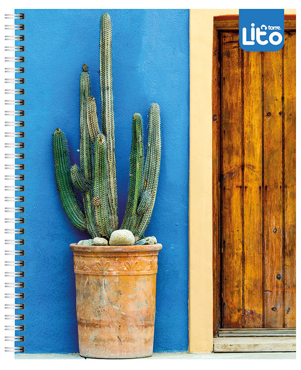 Pack 10 Cuadernos Universitarios Torre Lito Matematicas 7mm 100 Hojas