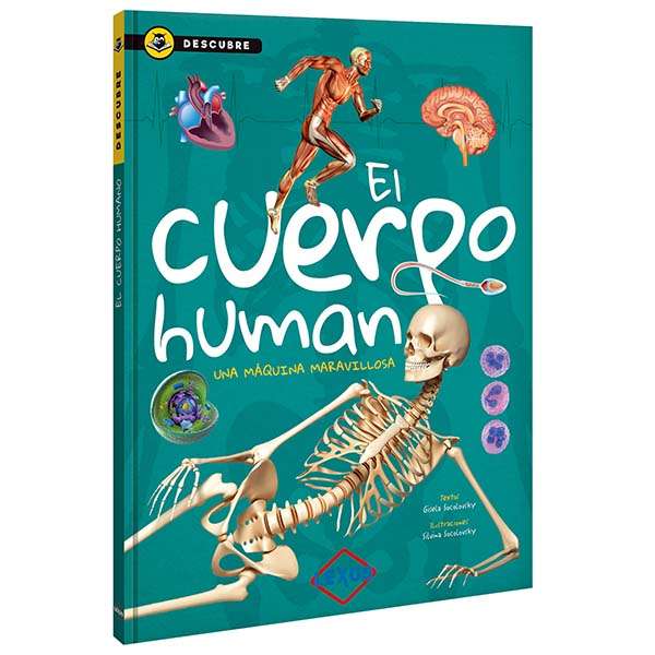 El Cuerpo Humano - Colección Descubre - Lexus Editores